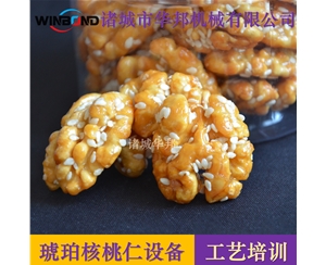 蜂蜜琥珀核桃設(shè)備 全套琥珀核桃仁設(shè)備廠家 山東華邦